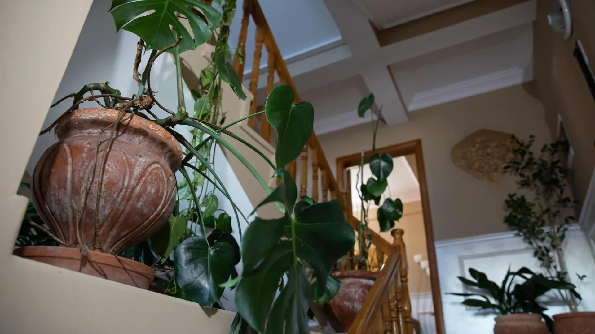 Séjour chez l'habitant Vila Kaci Durrës